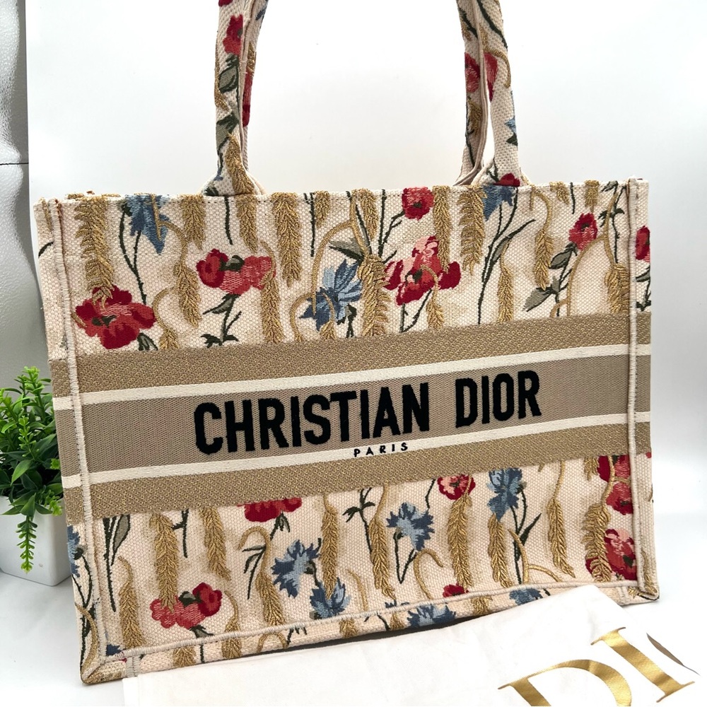 Christian Dior book tote bag Rare ❤️😍Like New